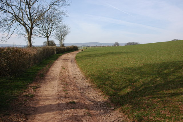 A red-earth farm track climbing a Herefordshire hillside past bare winter trees, with the Black Mountains low on the horizon.